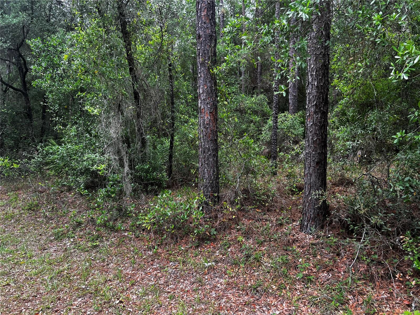 TBD SW 186TH CT.