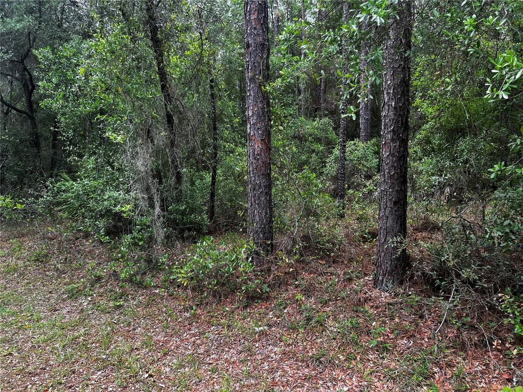 Photo of Tbd SW 186th Ct., Dunnellon, FL 34432 (MLS # OM724855)