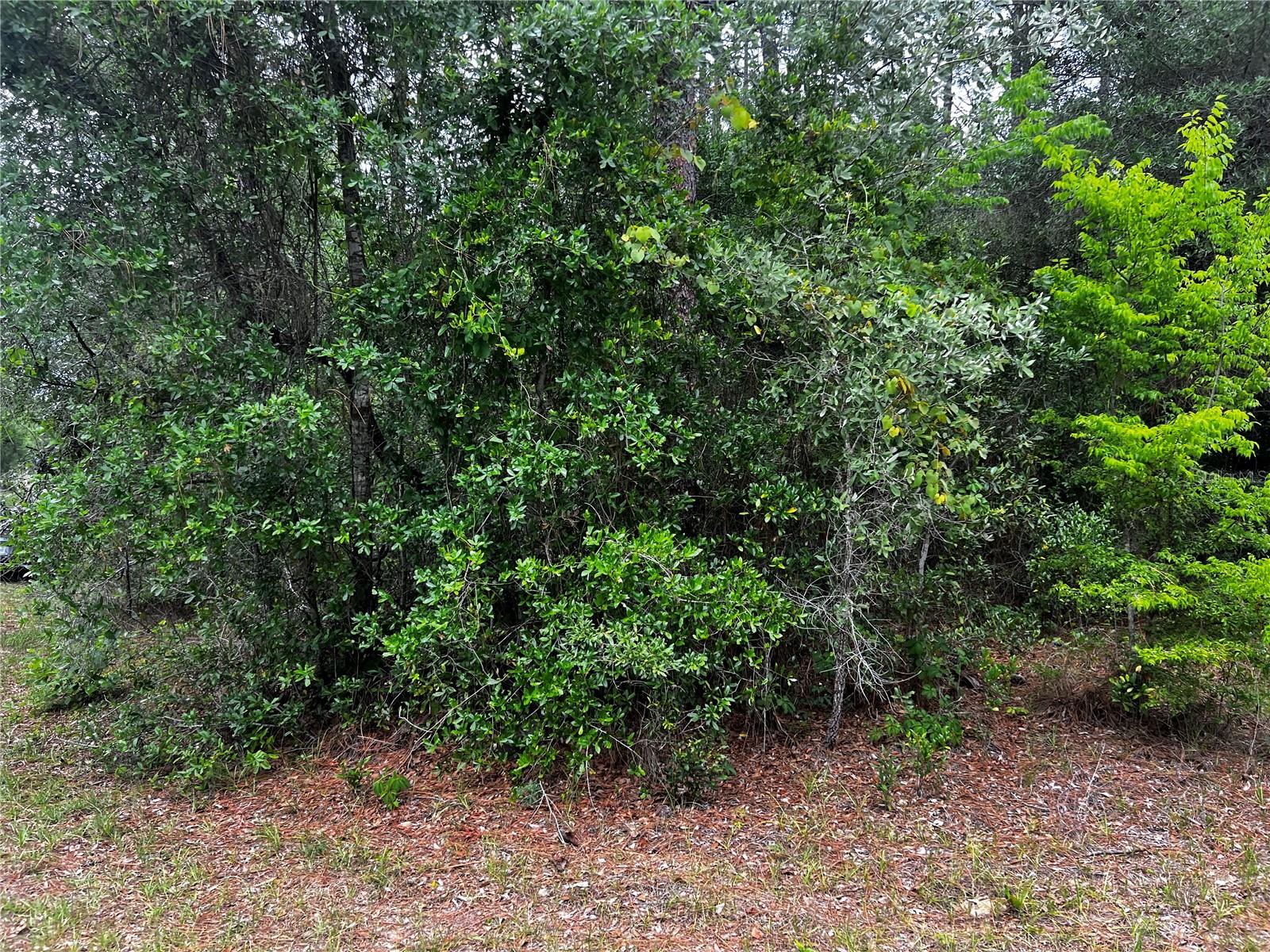 TBD SW 186TH CT.