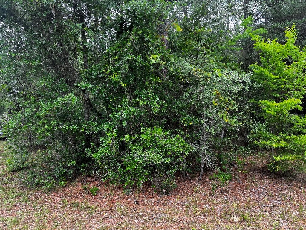 Photo of Tbd SW 186th Ct., Dunnellon, FL 34432 (MLS # OM724855)