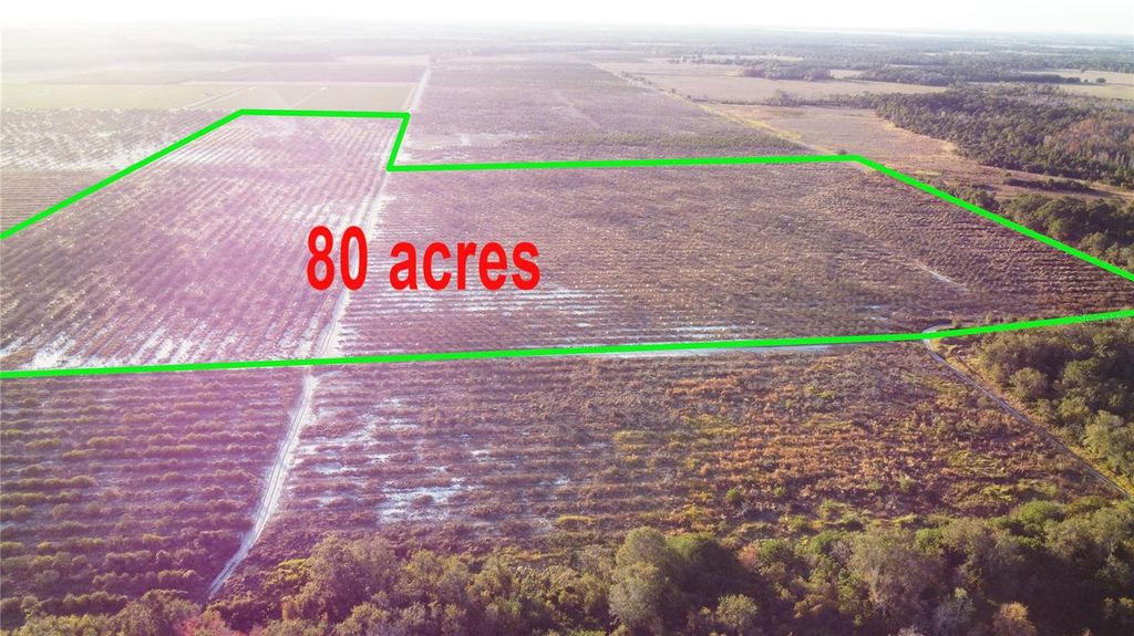 Photo of 627 Raulerson Road, Frostproof, FL 33843 (MLS # TB8461711)