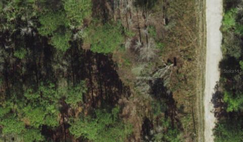 POWELL STREET NEW PORT RICHEY FL 34654