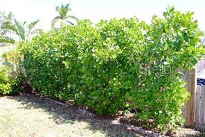SHORE ACRES BUTTERFLY LAKE REP - Residential