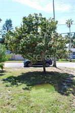 SHORE ACRES BUTTERFLY LAKE REP - Residential