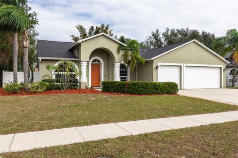 A home in RIVERVIEW