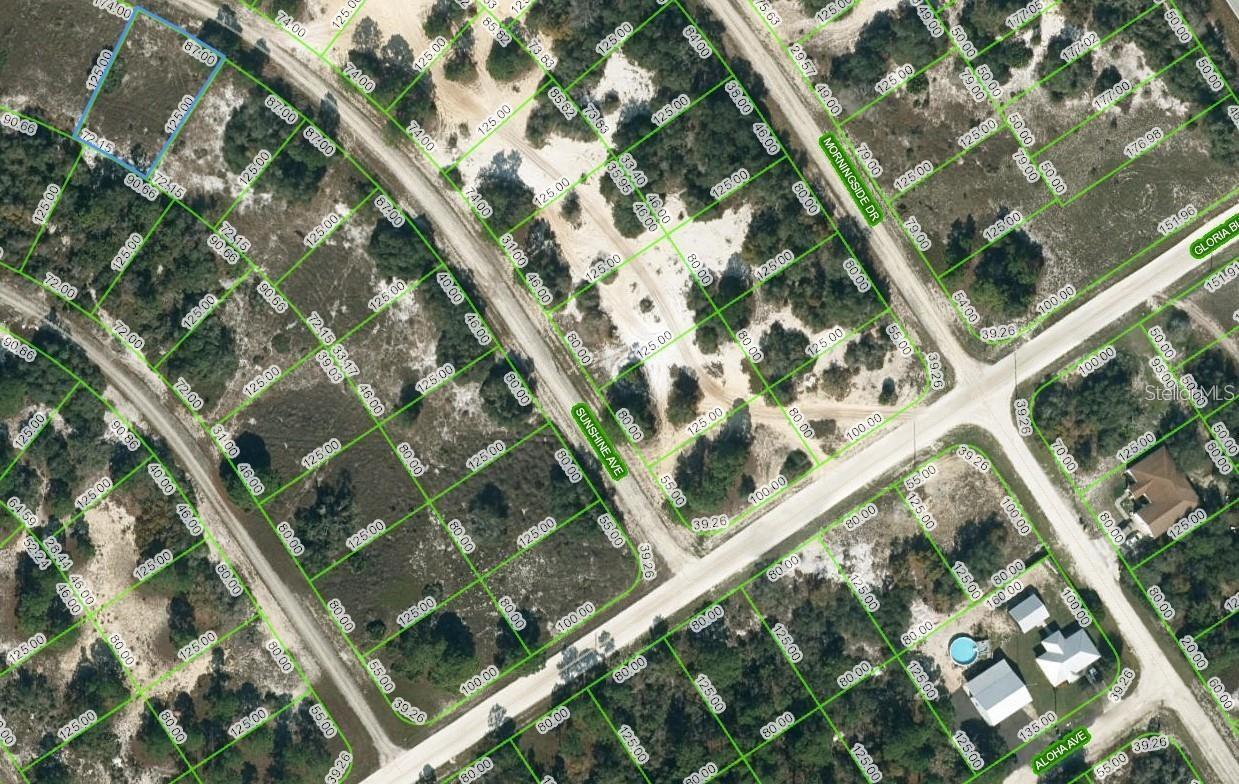 This lot in Lake Placid is in a fantastic area, just a short 10-minute drive away from Lake Grassy and approximately within a 20-minute drive to Lake Placid. This proximity to both lakes makes it an ideal location for those who enjoy recreational activities like fishing and boating. You'll have easy access to the lake, allowing you to spend quality time on the water and indulge in your favorite water-based hobbies. For car enthusiasts, the lot's proximity to the Sebring International Raceway is a dream come true. You'll be able to enjoy thrilling races and events just a short distance away from your property. Whether you're a motorsport fan or a participant, living so close to a renowned racetrack adds an exciting element to your lifestyle. Additionally, the lot offers the convenience of having shopping and dining options nearby. You'll have access to a range of stores, boutiques, and restaurants, ensuring that your everyday needs are met without having to travel long distances. Overall, this lot in Lake Placid provides a unique combination of recreational opportunities, a favorable growing environment, and proximity to exciting attractions like the Sebring International Raceway. It's an excellent location for anyone looking to enjoy the outdoors, engage in hobbies, and have easy access to amenities. Don't let this deal race on by! Invest or purchase to build your dream home today!