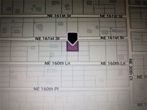 0 NE 161ST STREET CITRA FL 32113