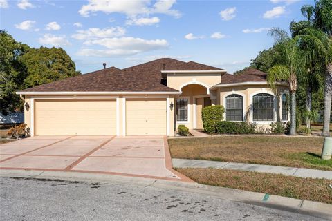 Photo of 13748 Bryndlewood Court, Hudson, FL 34669 (MLS # O6370970)
