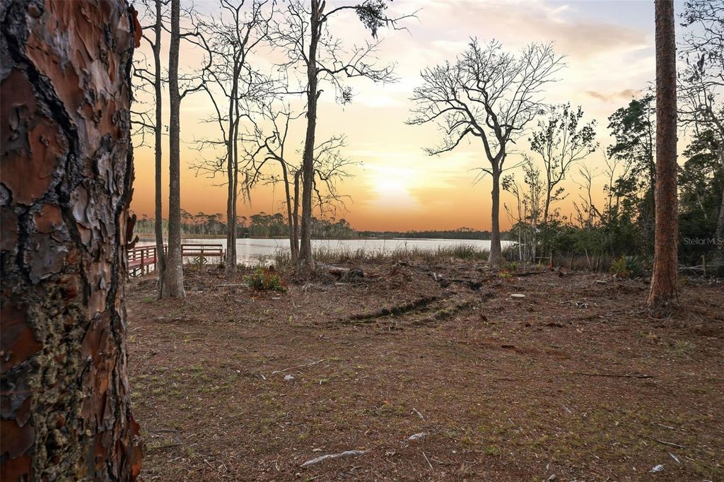 Photo of 6197 Lake Winona Road, De Leon Springs, FL 32130 (MLS # V4947408)