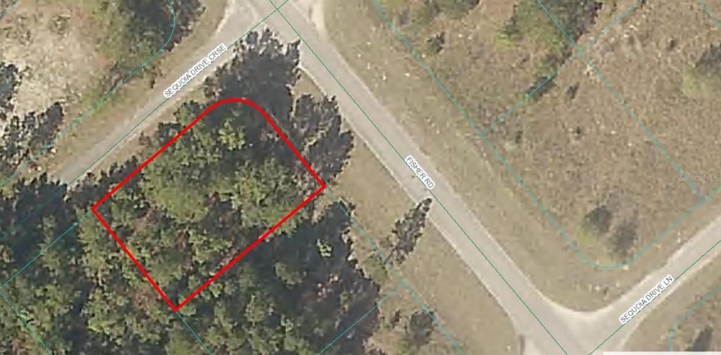 Photo of 00 Fisher Road, Ocklawaha, FL 32179 (MLS # OM694870)