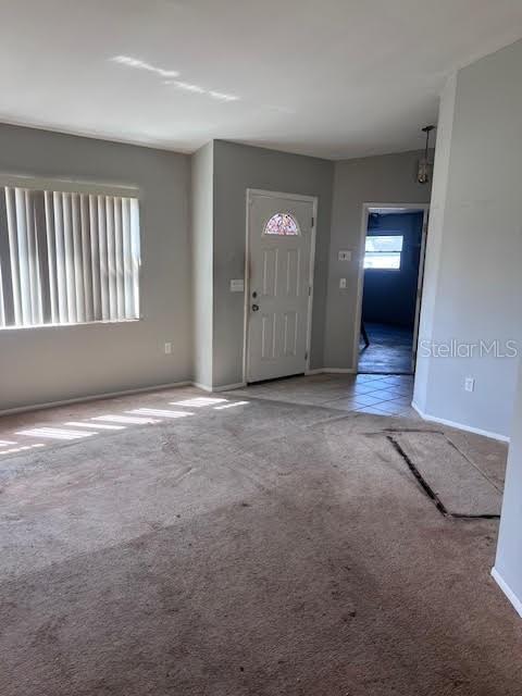 ORCHID LAKE VILLAGE EAST - Residential