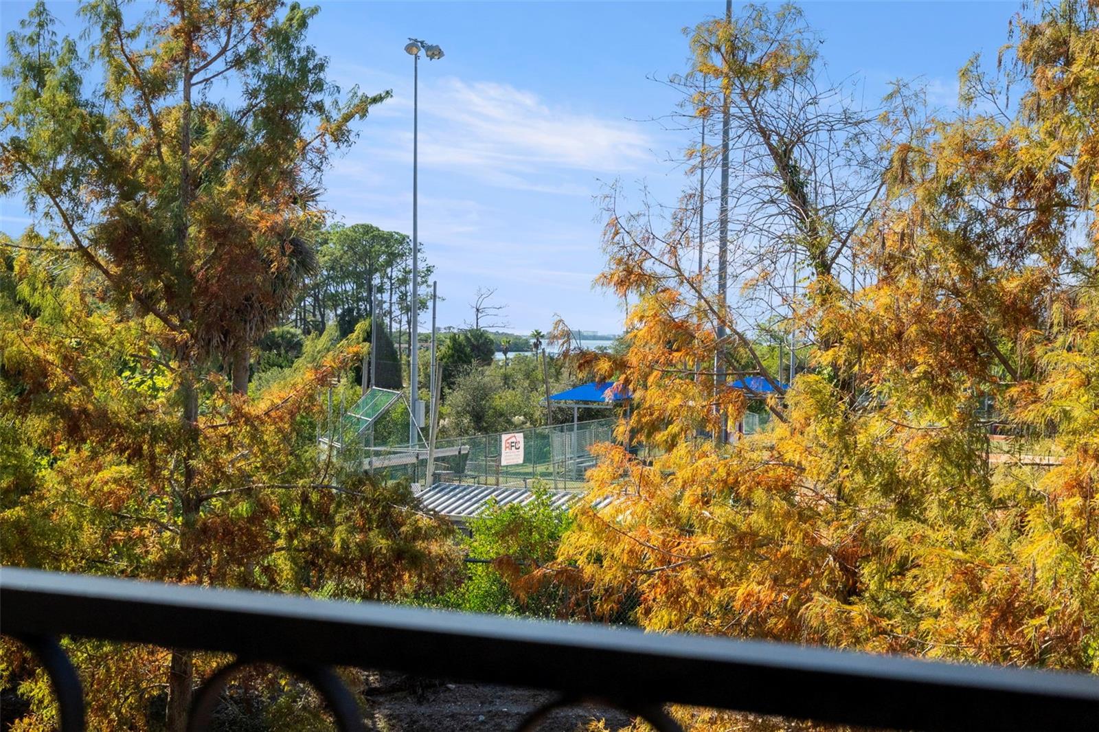 VILLAS OF SAN MARINO AT PALM HARBOR - Residential