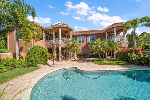 A home in PALM HARBOR