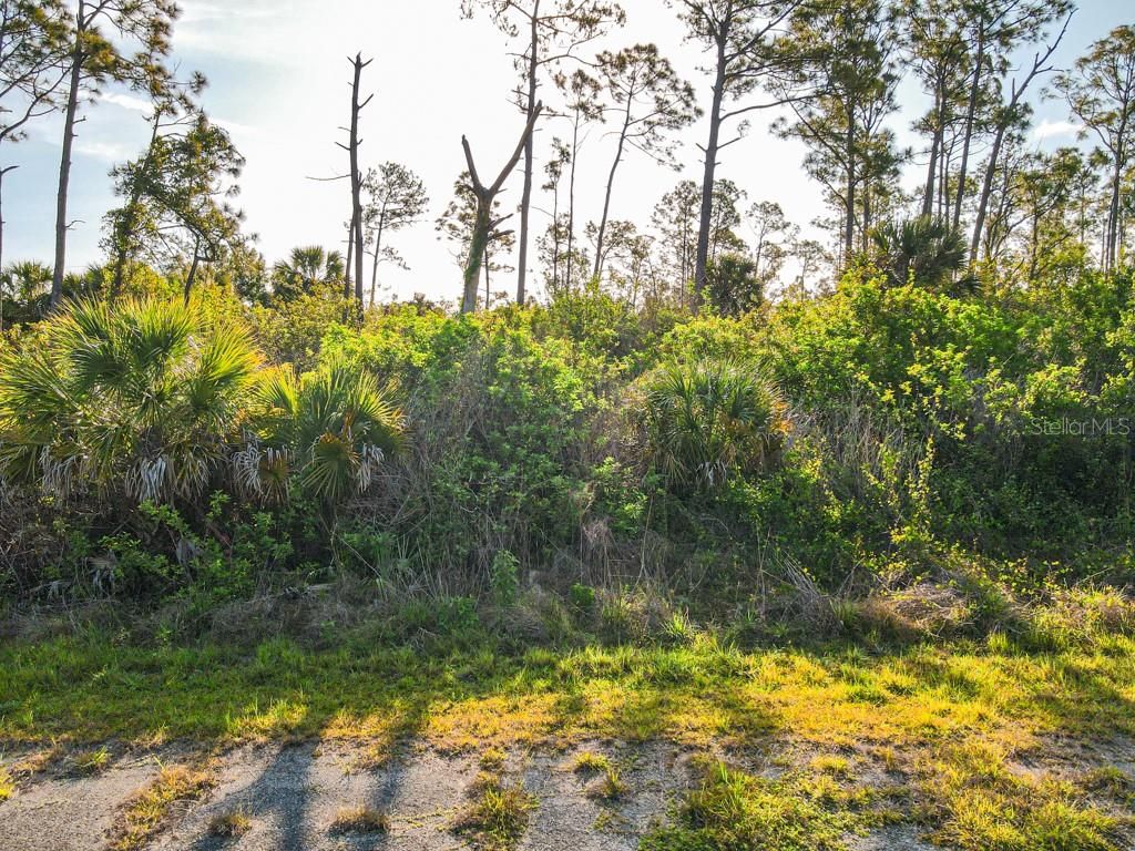 Photo of Blueleaf Drive, North Port, FL 34288 (MLS # C7524976)