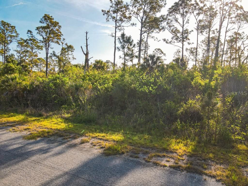 Photo of Blueleaf Drive, North Port, FL 34288 (MLS # C7524976)