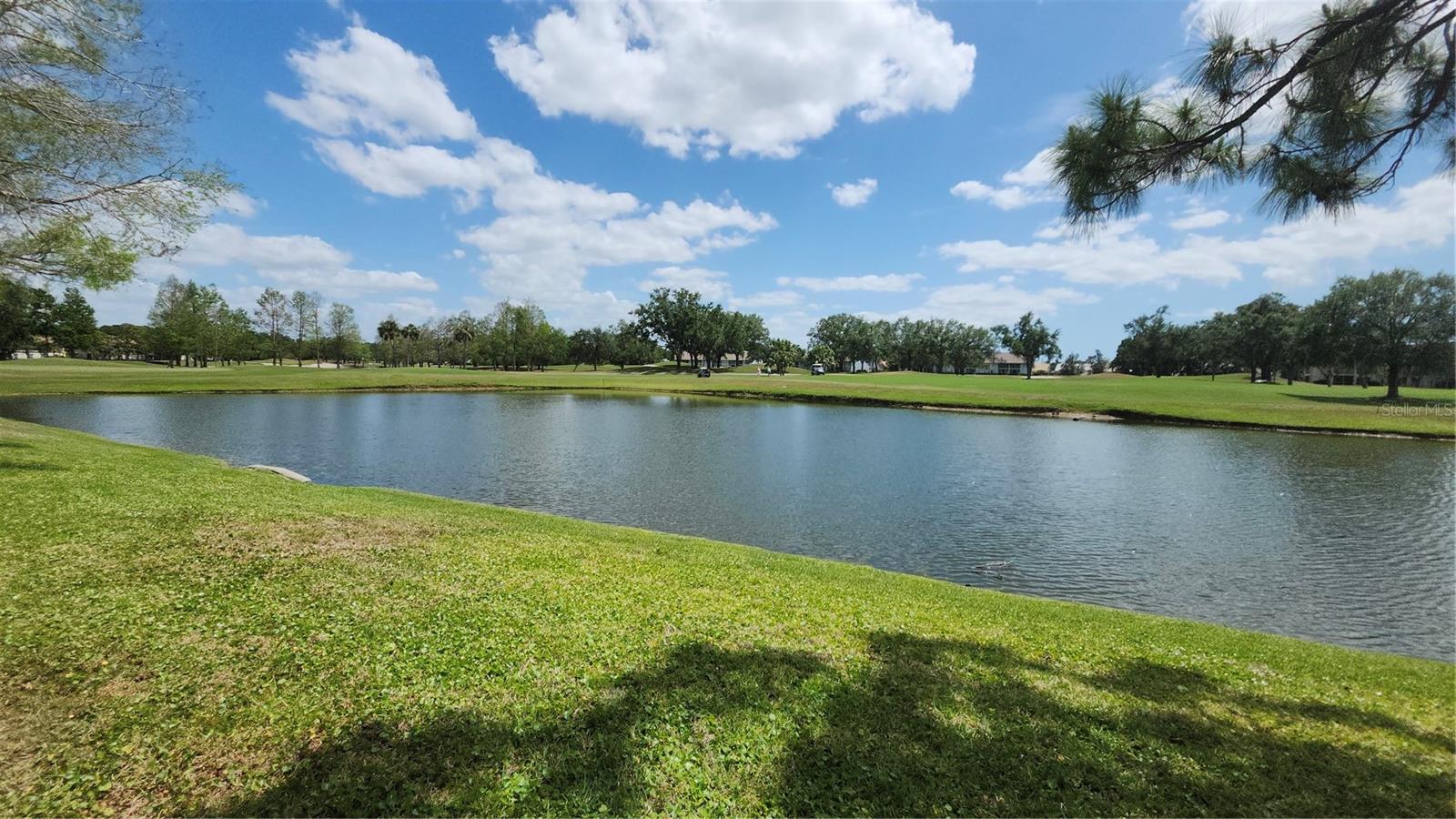 6618 PINEVIEW TERRACE 6618
