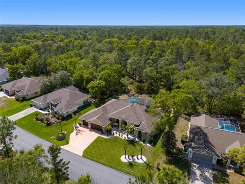 Tiny photo for 49 Cactus St, Homosassa, FL 34446 (MLS # OM715678)