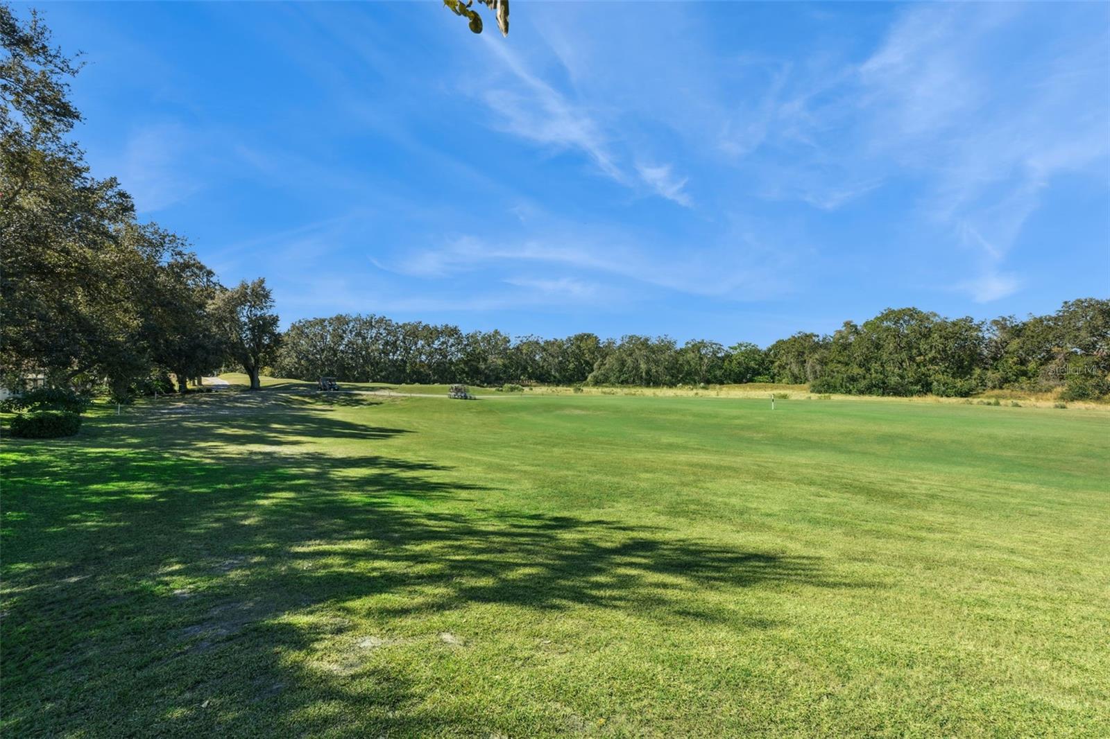 PLANTATION AT LEESBURG GOLFVIEW - Residential