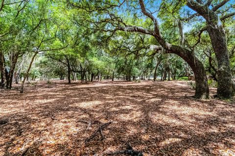 Photo of 4055 State Road 11, Deland, FL 32724 (MLS # O6312930)