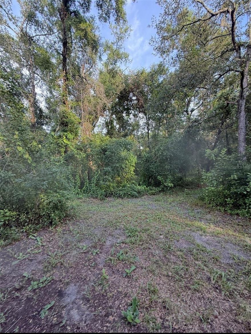 Beautiful vacant land.
Come build your dream home