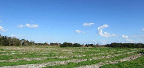 THOMPSON NURSERY ROAD LAKE WALES FL 33859