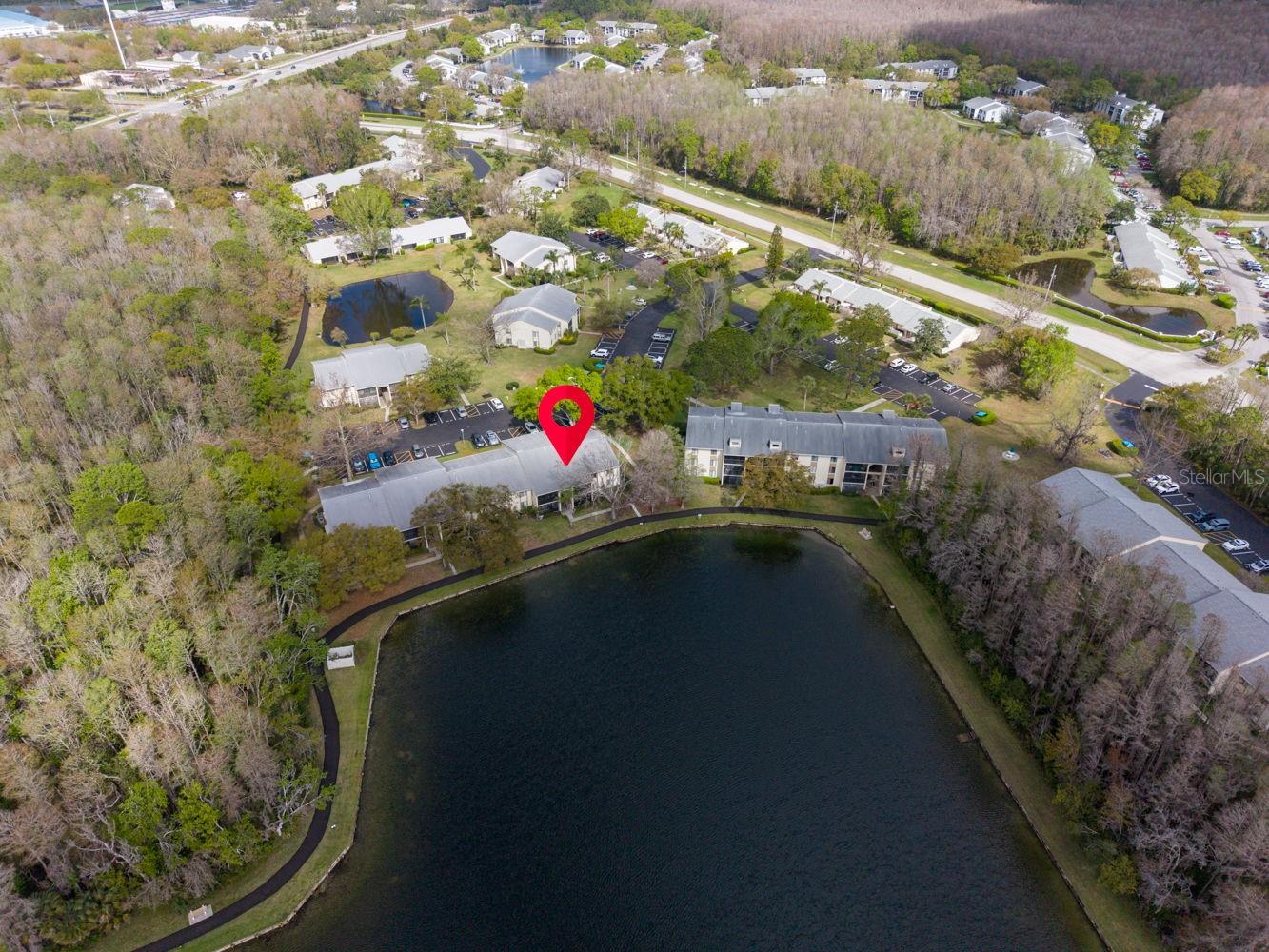 PINE RIDGE AT LAKE TARPON VILLAGE - Residential
