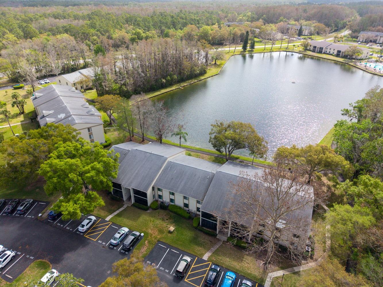 PINE RIDGE AT LAKE TARPON VILLAGE - Residential