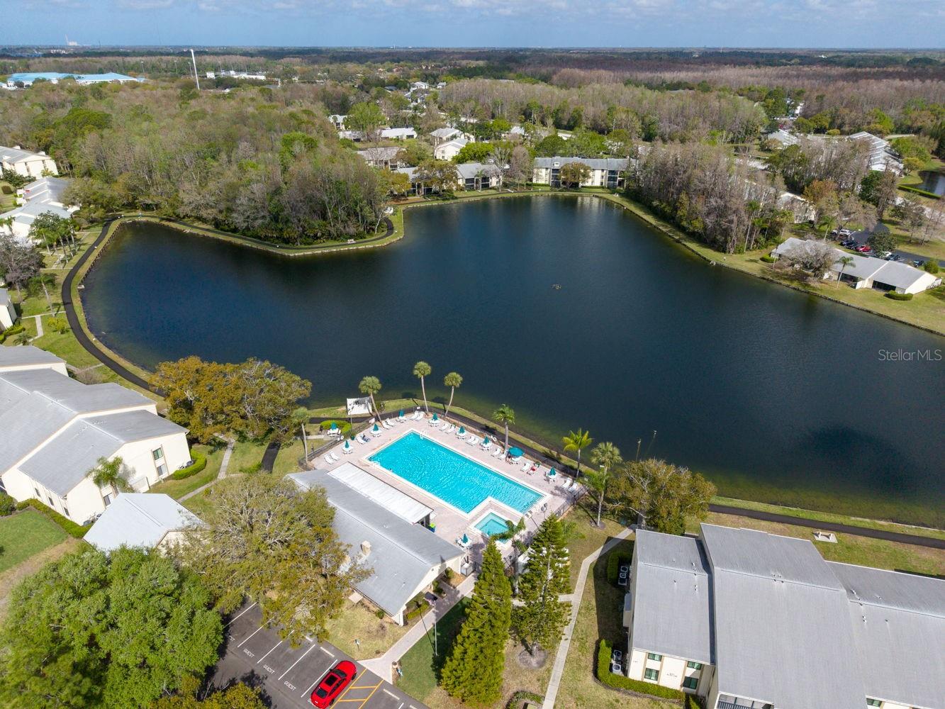 PINE RIDGE AT LAKE TARPON VILLAGE - Residential