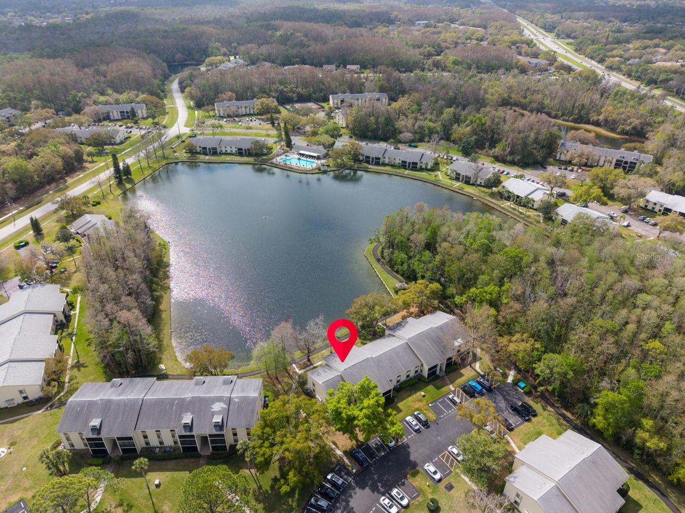 PINE RIDGE AT LAKE TARPON VILLAGE - Residential