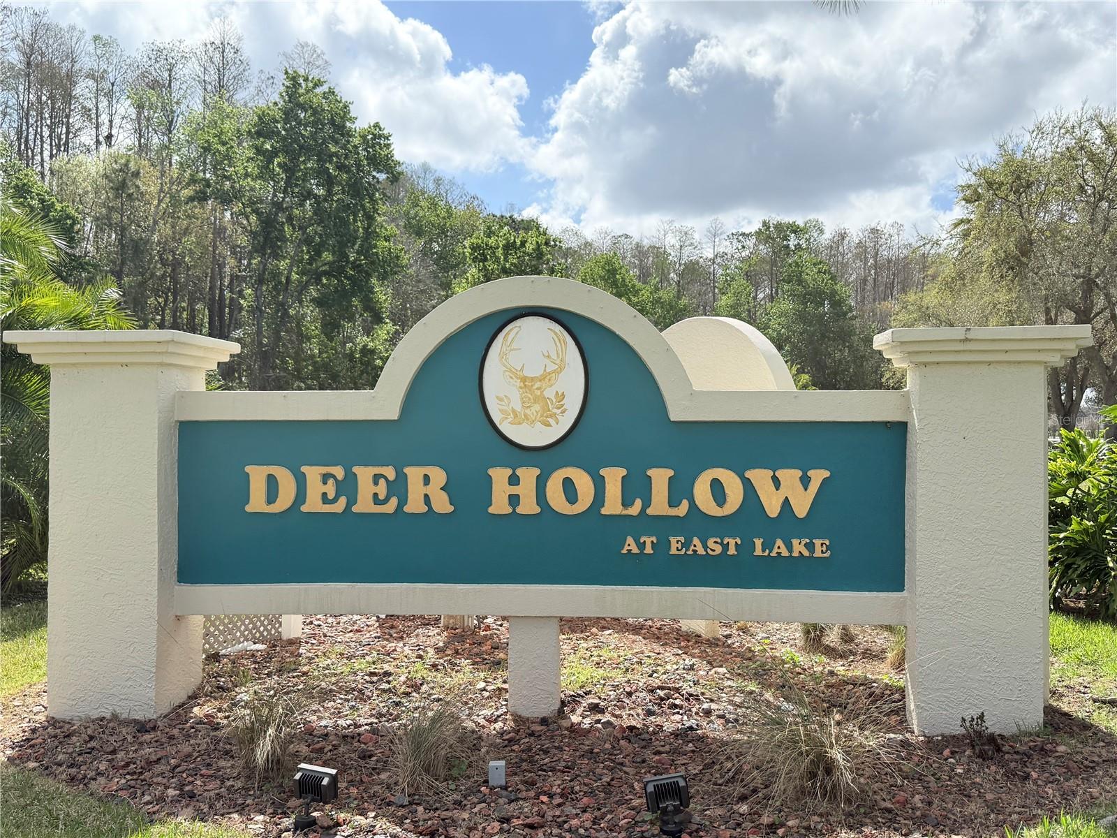 PINE RIDGE AT LAKE TARPON VILLAGE - Residential