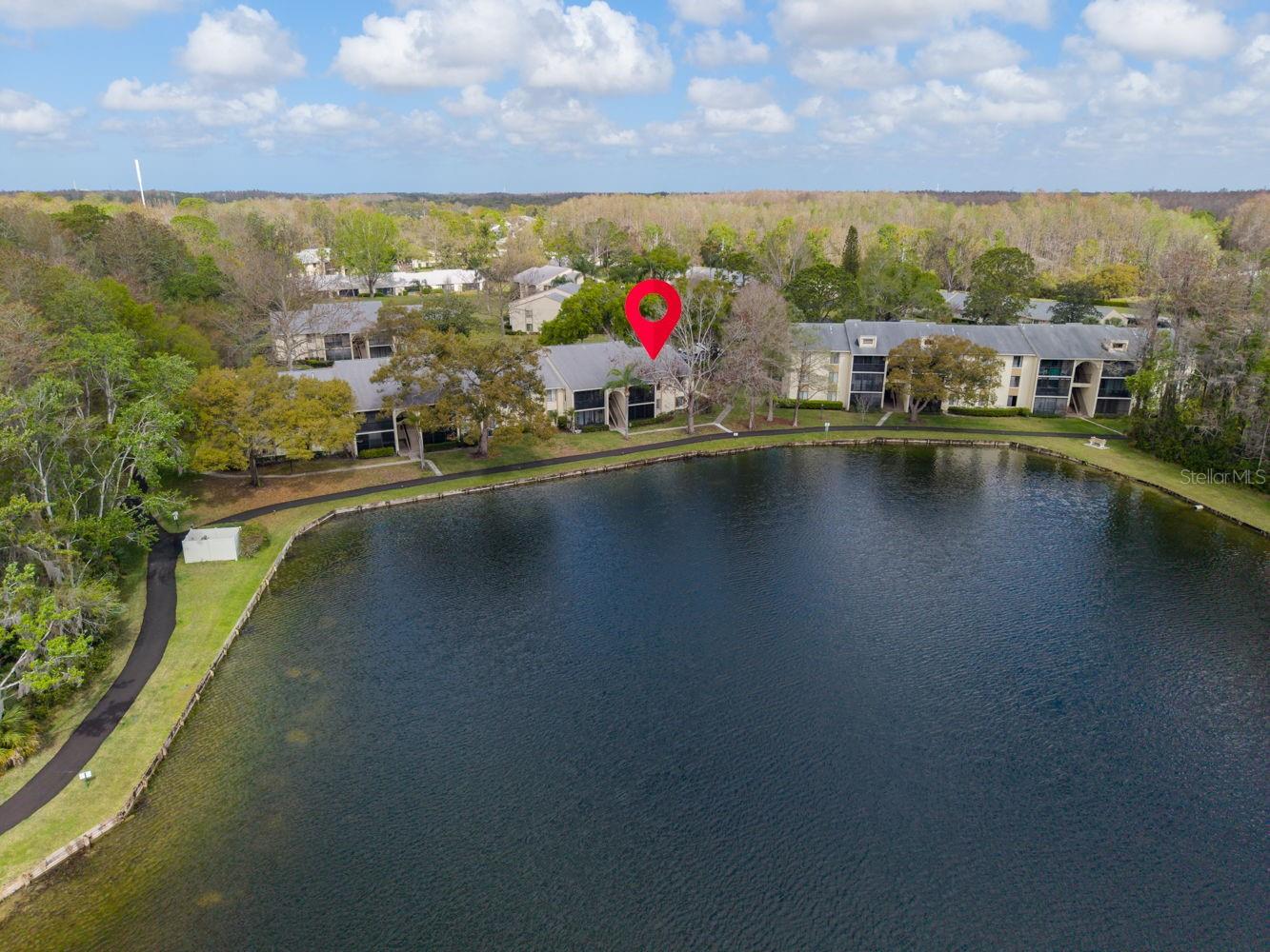 PINE RIDGE AT LAKE TARPON VILLAGE - Residential