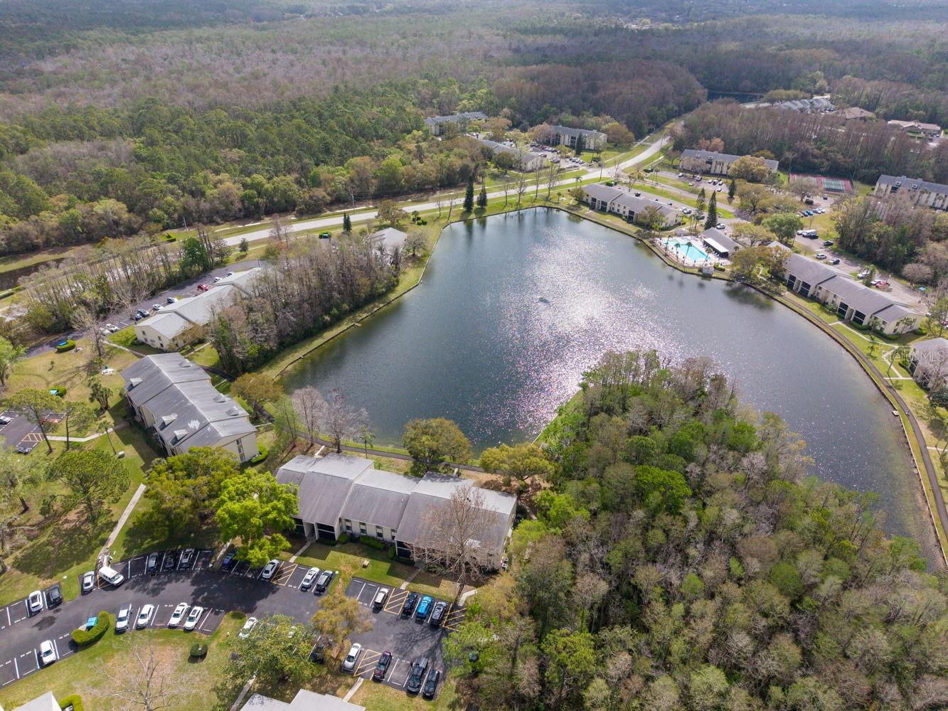 PINE RIDGE AT LAKE TARPON VILLAGE - Residential