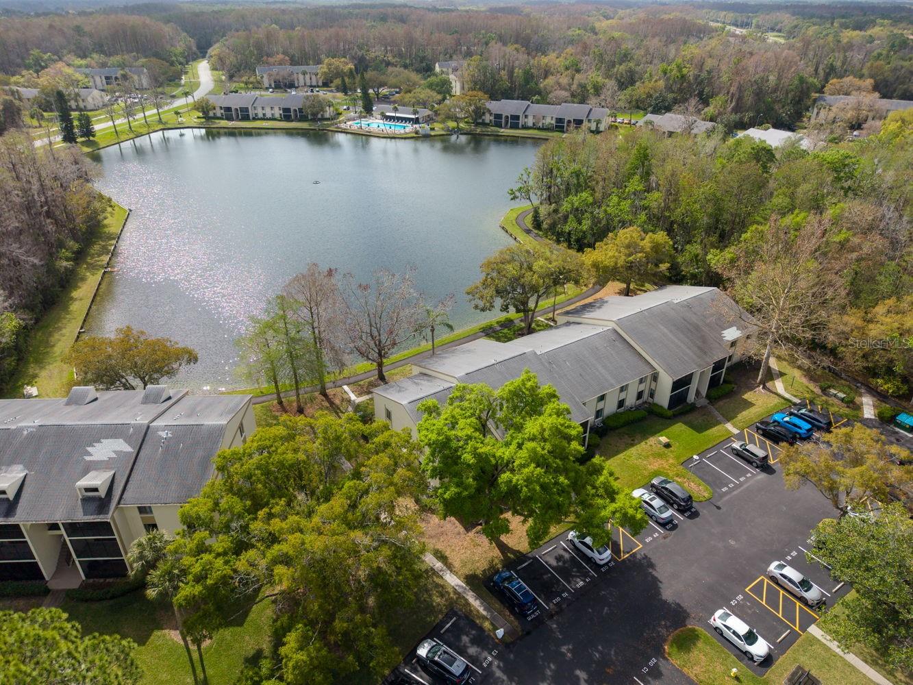 PINE RIDGE AT LAKE TARPON VILLAGE - Residential