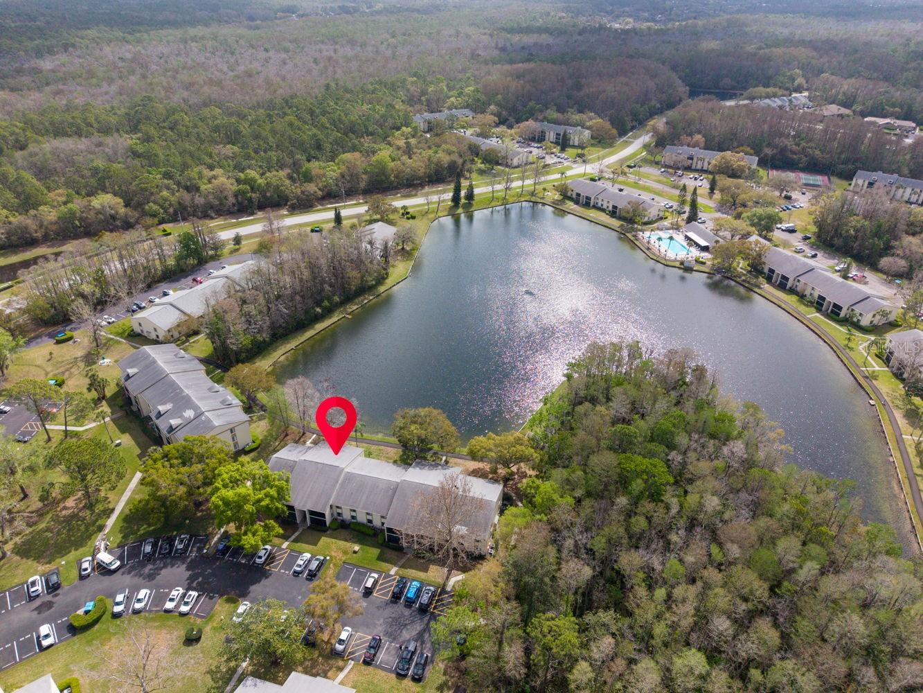 PINE RIDGE AT LAKE TARPON VILLAGE - Residential