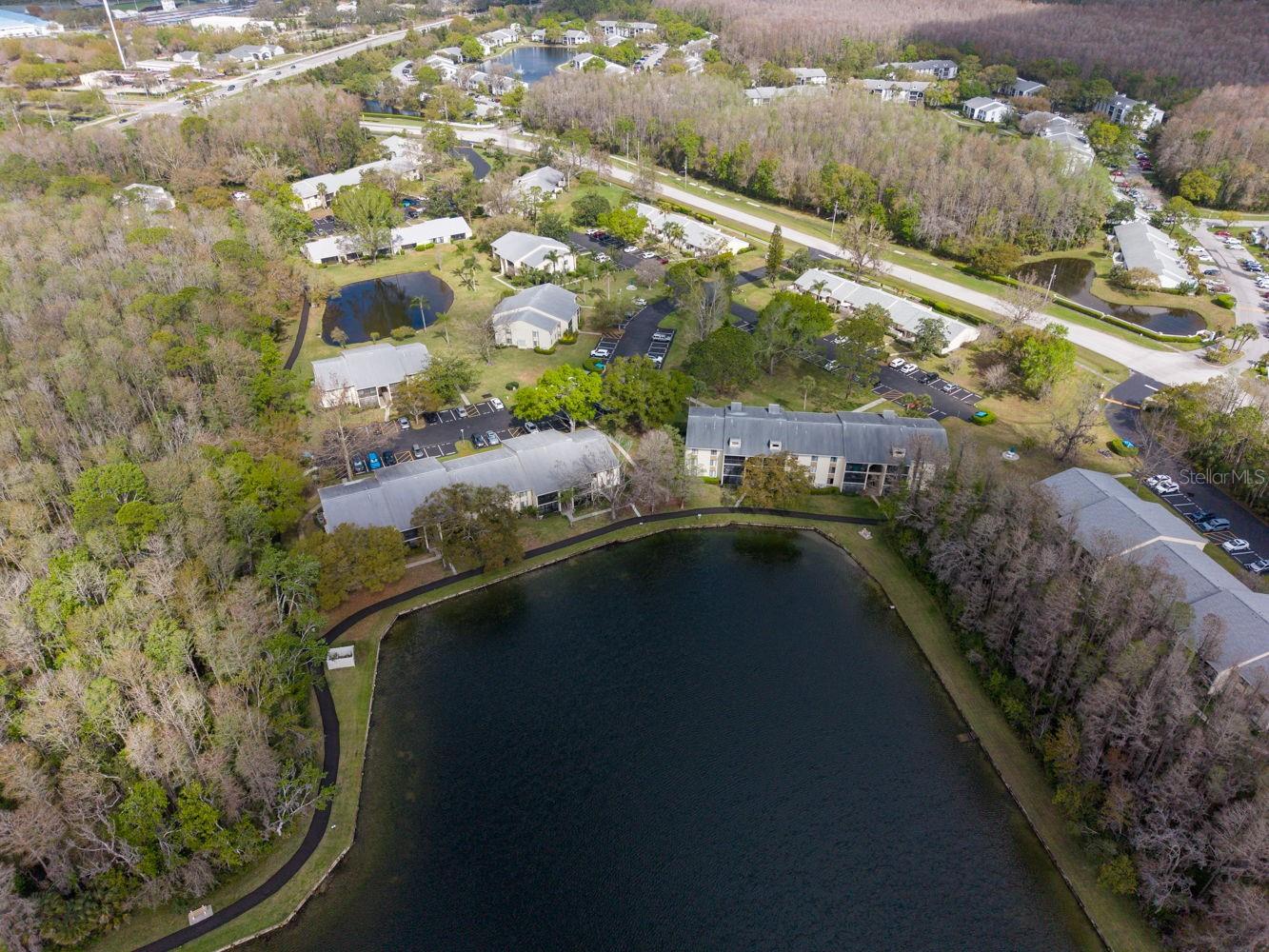 PINE RIDGE AT LAKE TARPON VILLAGE - Residential