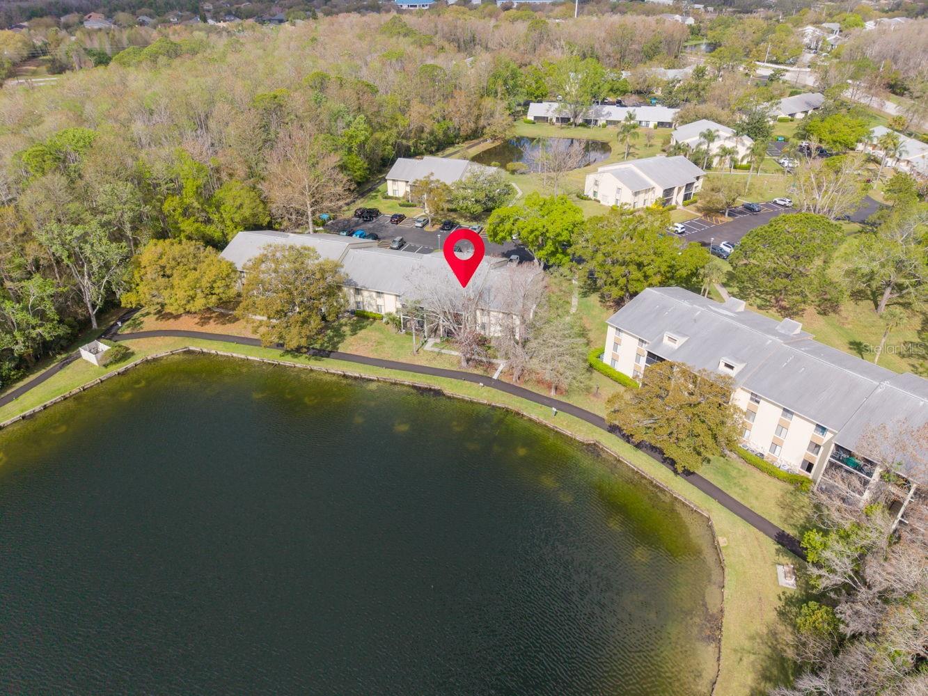 PINE RIDGE AT LAKE TARPON VILLAGE - Residential