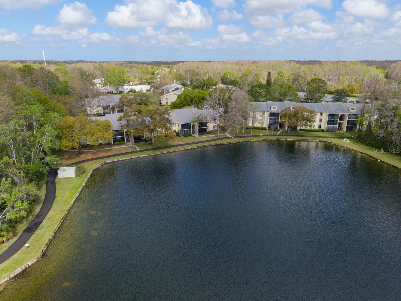PINE RIDGE AT LAKE TARPON VILLAGE - Residential