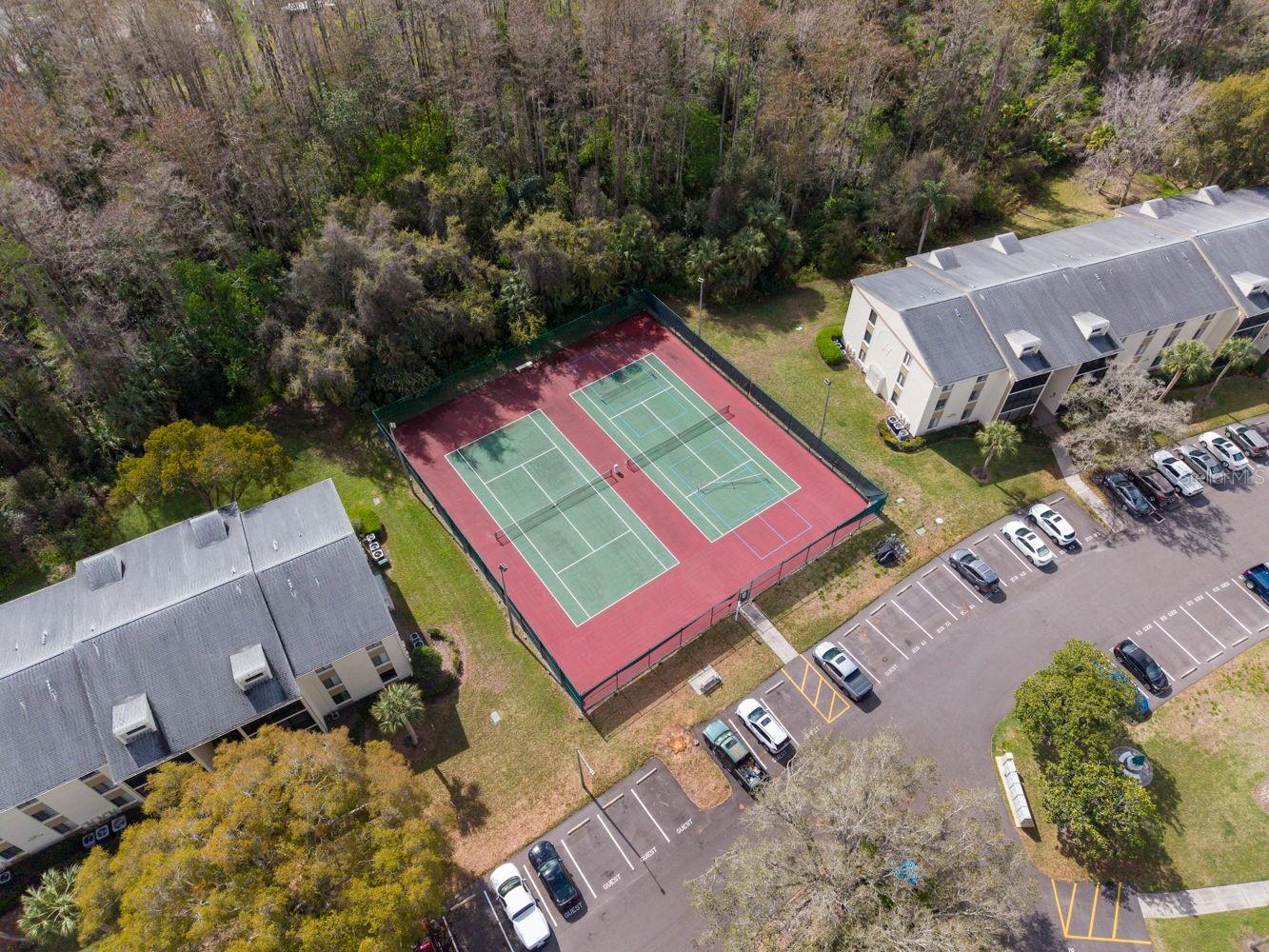 PINE RIDGE AT LAKE TARPON VILLAGE - Residential