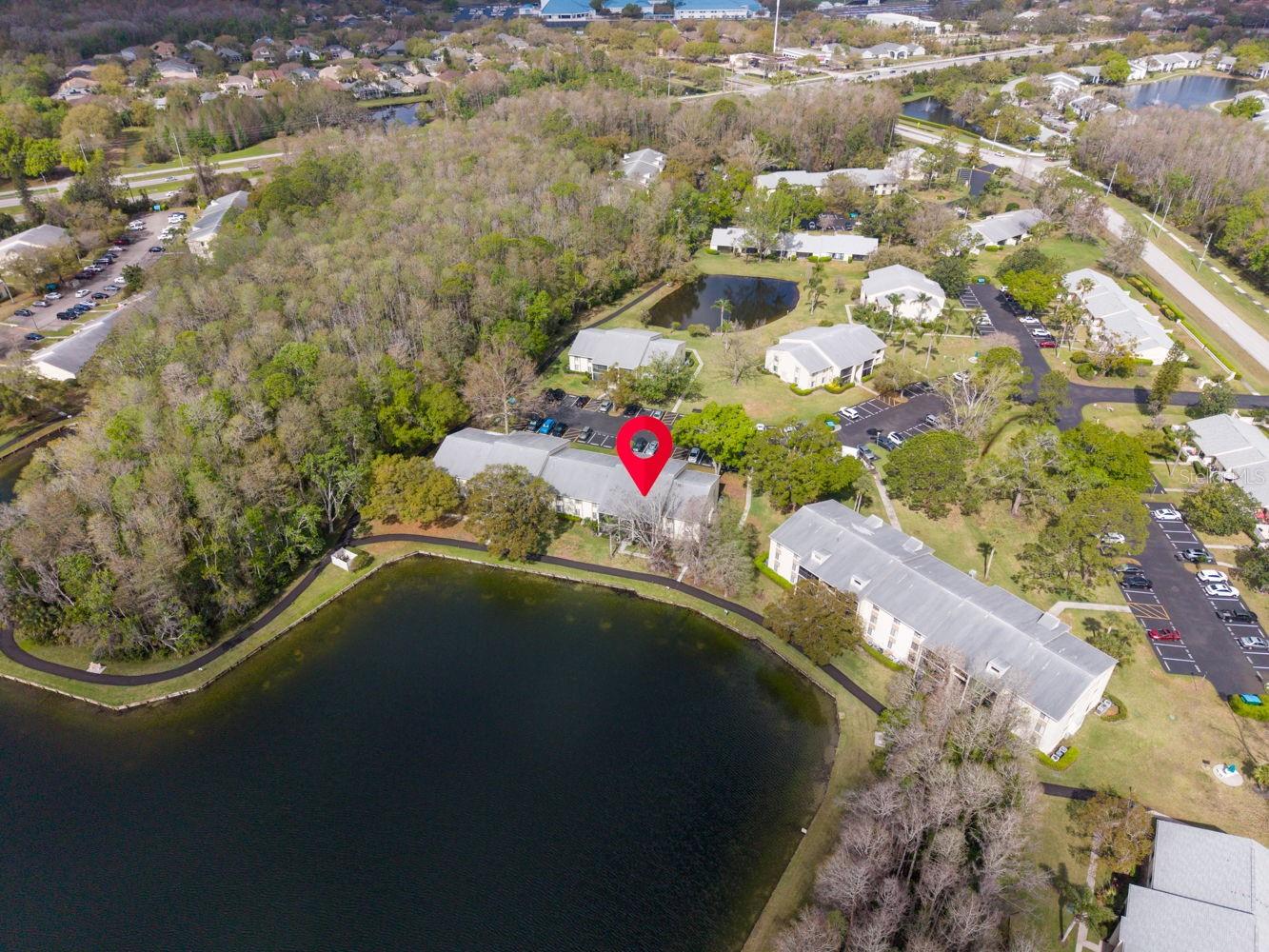 PINE RIDGE AT LAKE TARPON VILLAGE - Residential