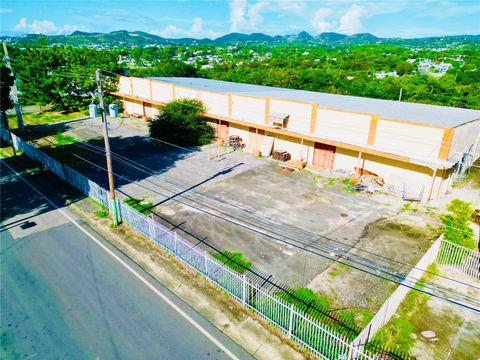 TROCHA ALTURAS DE COAYUCO LOTE 13 YAUCO  00698