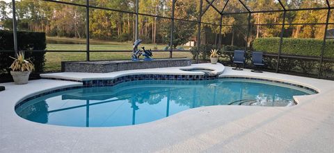 Tiny photo for 1051 Juliette Boulevard, Mount Dora, FL 32757 (MLS # G5108553)