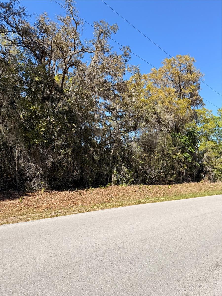 SILVER SPRINGS SHORES - Land