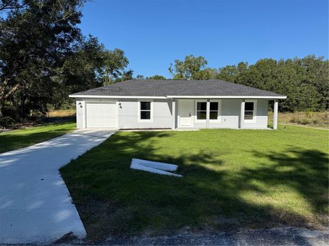 Photo of 26 Guava Terrace Trak, Ocklawaha, FL 32179 (MLS # OM710491)