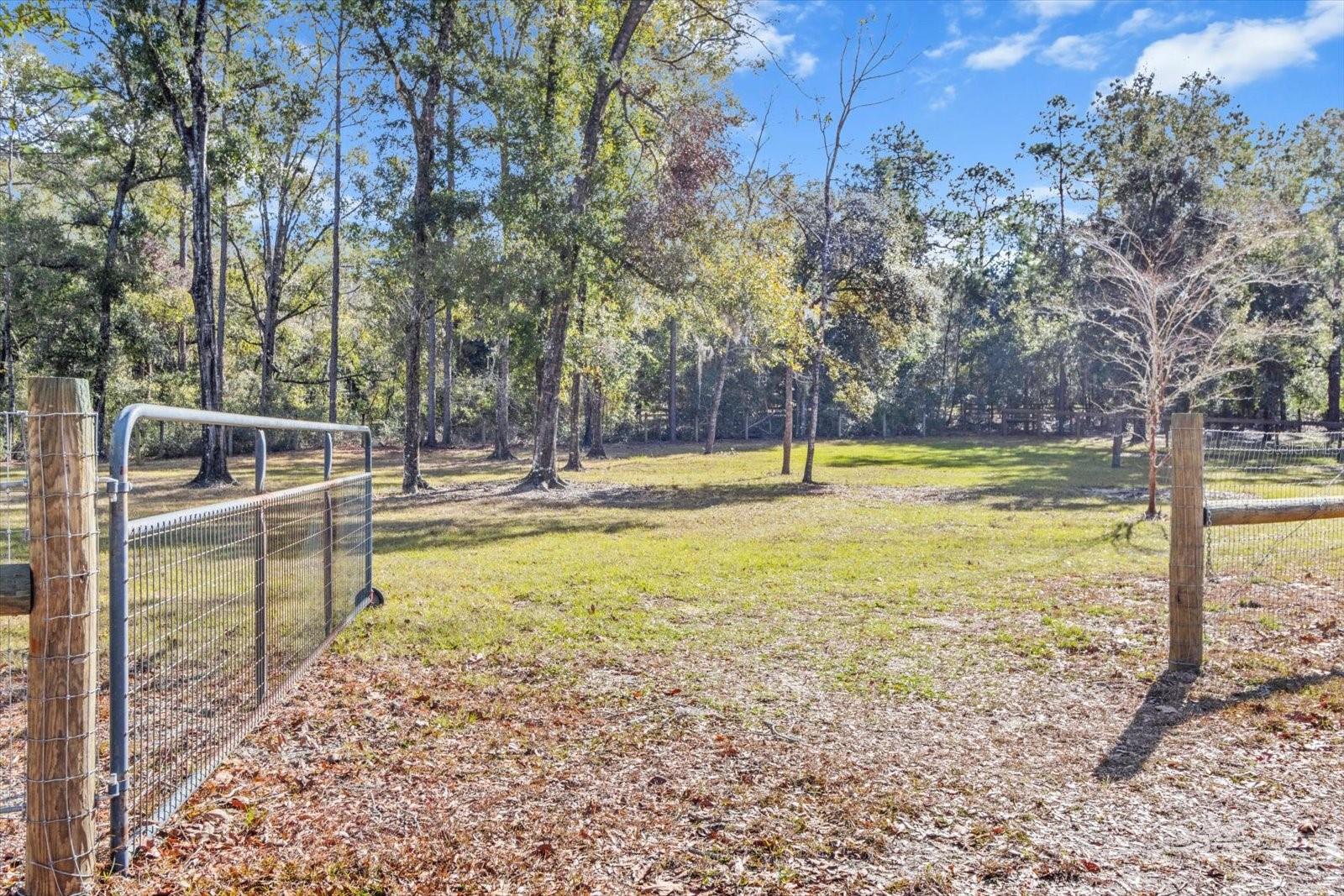 3300 E GRAPELEAF LANE