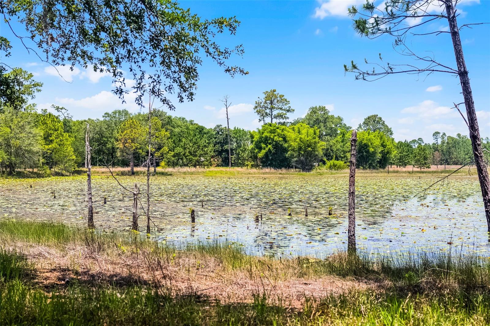4055 STATE ROAD 11