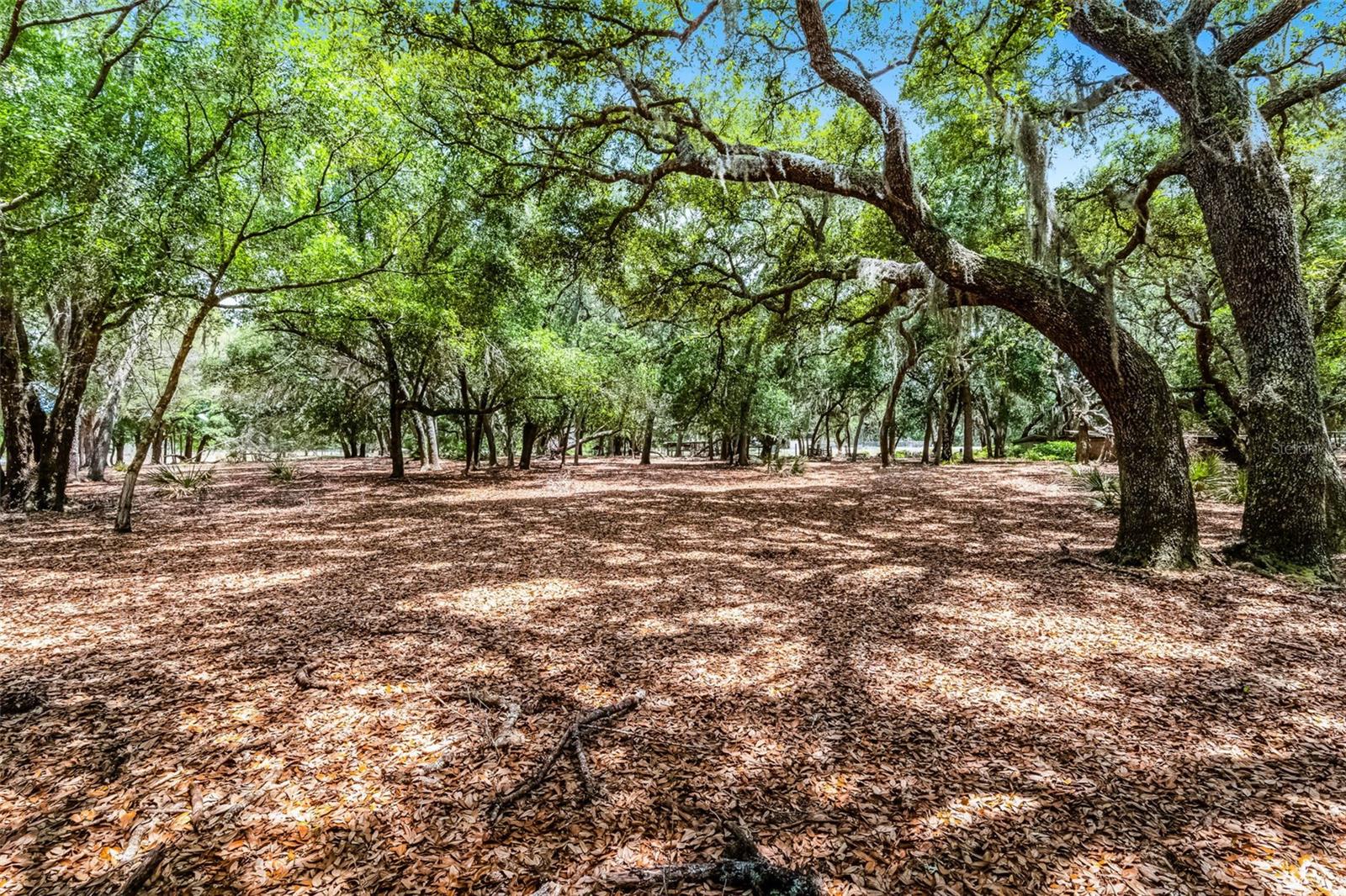 4055 STATE ROAD 11