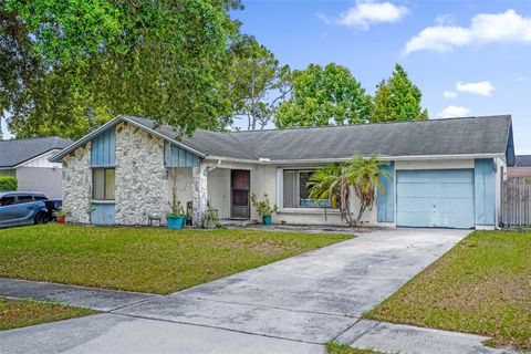 3246 BO JEREMY DRIVE ORLANDO FL 32822