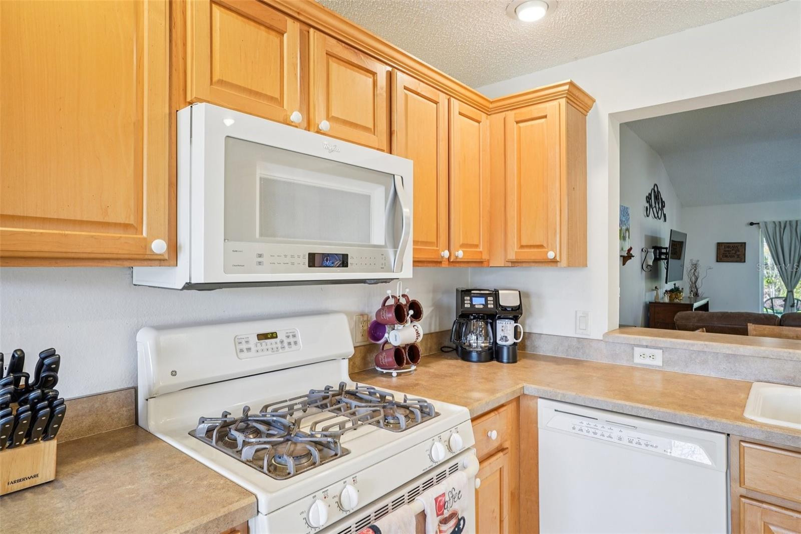 VILLAGES/MARION UN 65 - Residential