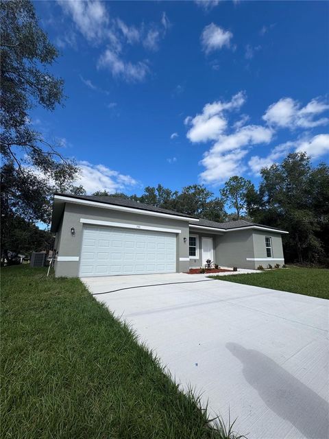 A home in CITRUS SPRINGS