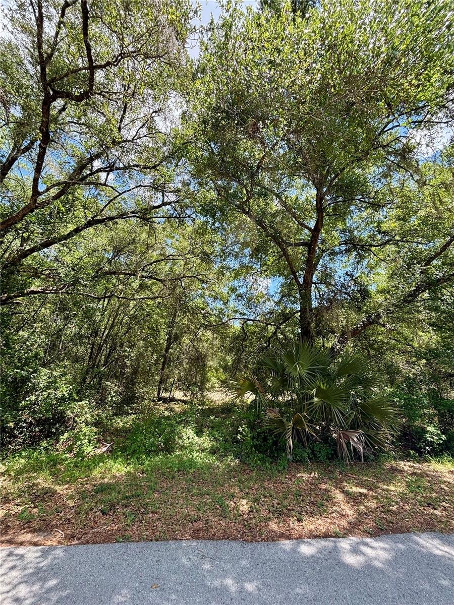Lot 15 SW SHOREWOOD DRIVE